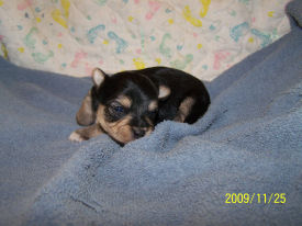 click here to see me grow