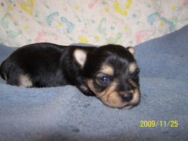 click here to go to my page