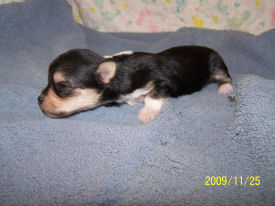 click here to see me grow