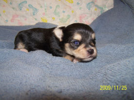 click on me to go to my page