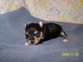 click here to see me grow